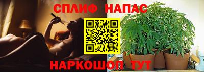ешки Заводоуковск