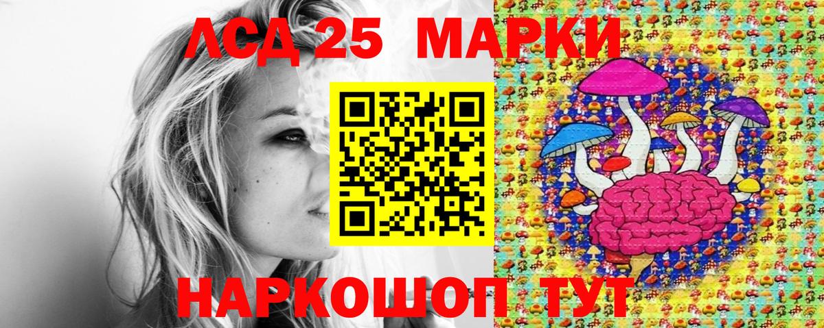Марки NBOMe 1500мкг  Вход с VPN  где продают   Котовск 