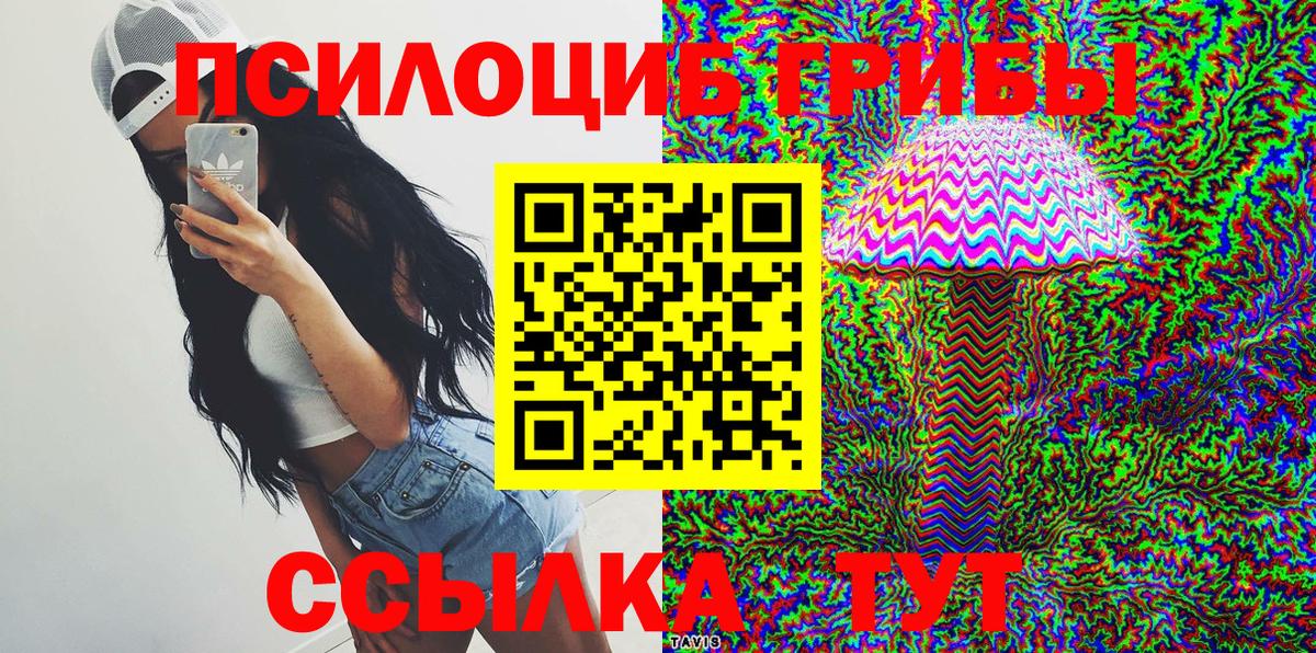 Галлюциногенные грибы Cubensis Котовск
