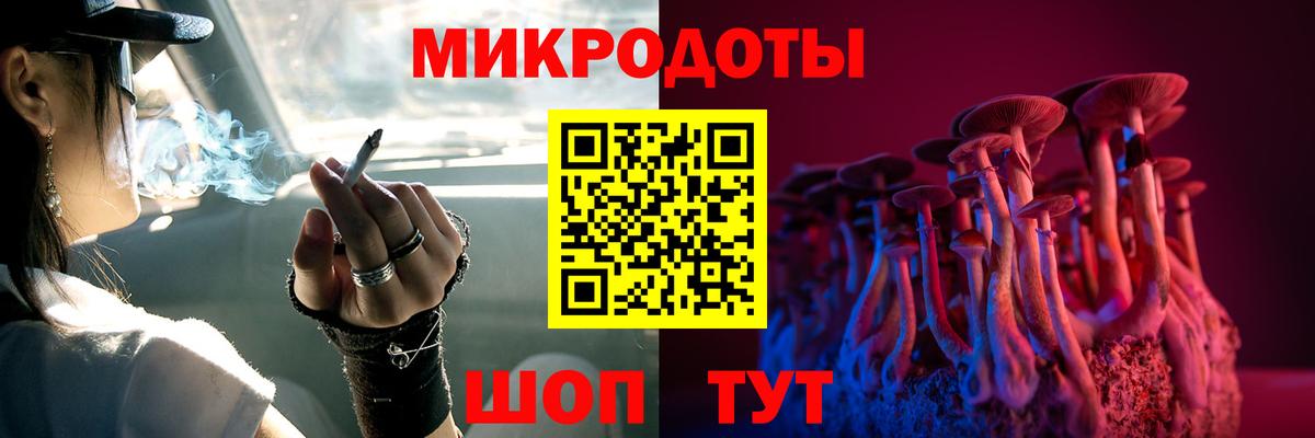 Псилоцибиновые грибы Psilocybe  Вход с VPN  Котовск 